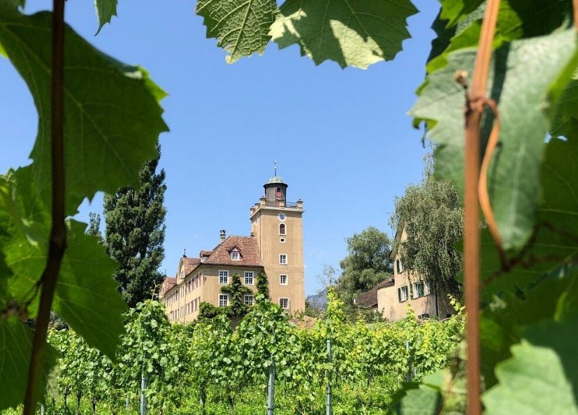 Salenegg Castle, Switzerland, Switzerland